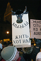 Беспорядки в Риге: Латвия больше не может гордиться спокойным нравом?
